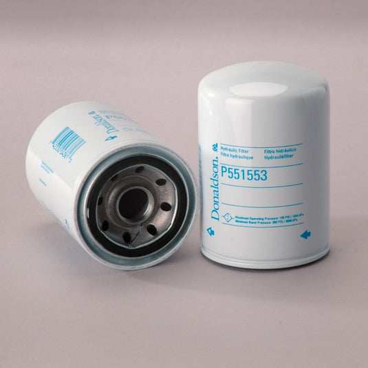 P551553 1" SERVICE STN FILTER 17 MICRON EA